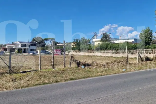 Terreno edificabile in Via Scipione Borghese Snc, Nettuno - Foto 1