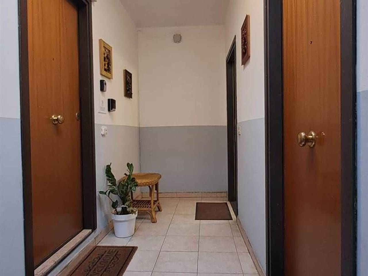 immagine annuncio 11 di 12