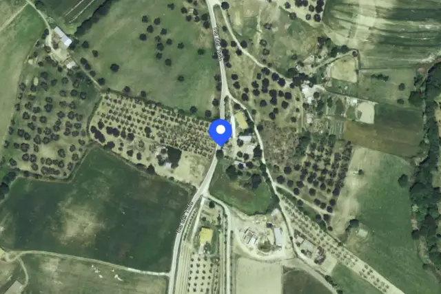 insertion image
