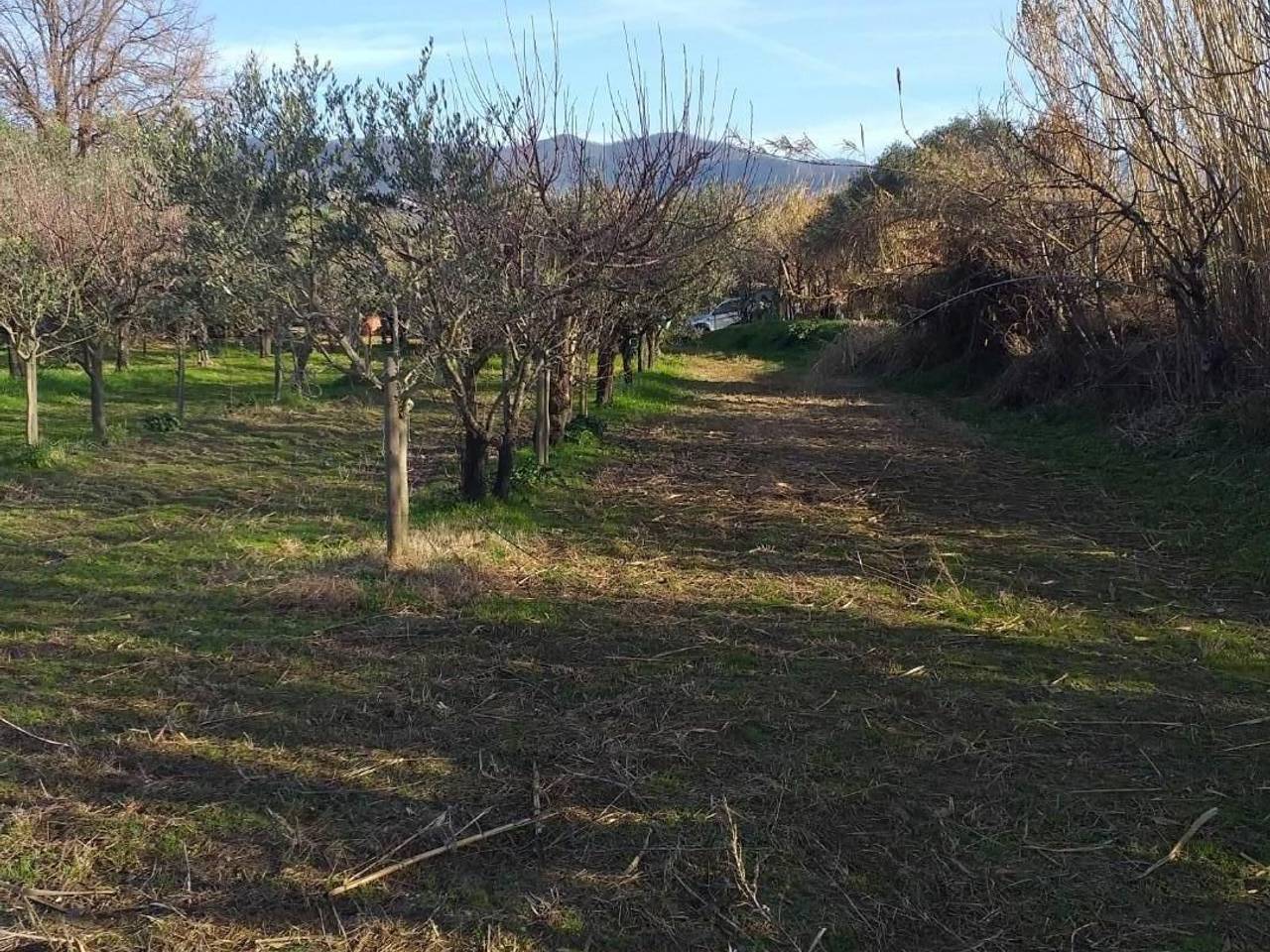 immagine annuncio 3 di 4