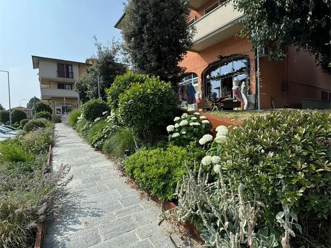 Negozio in , Albinea, {3} - Foto 1