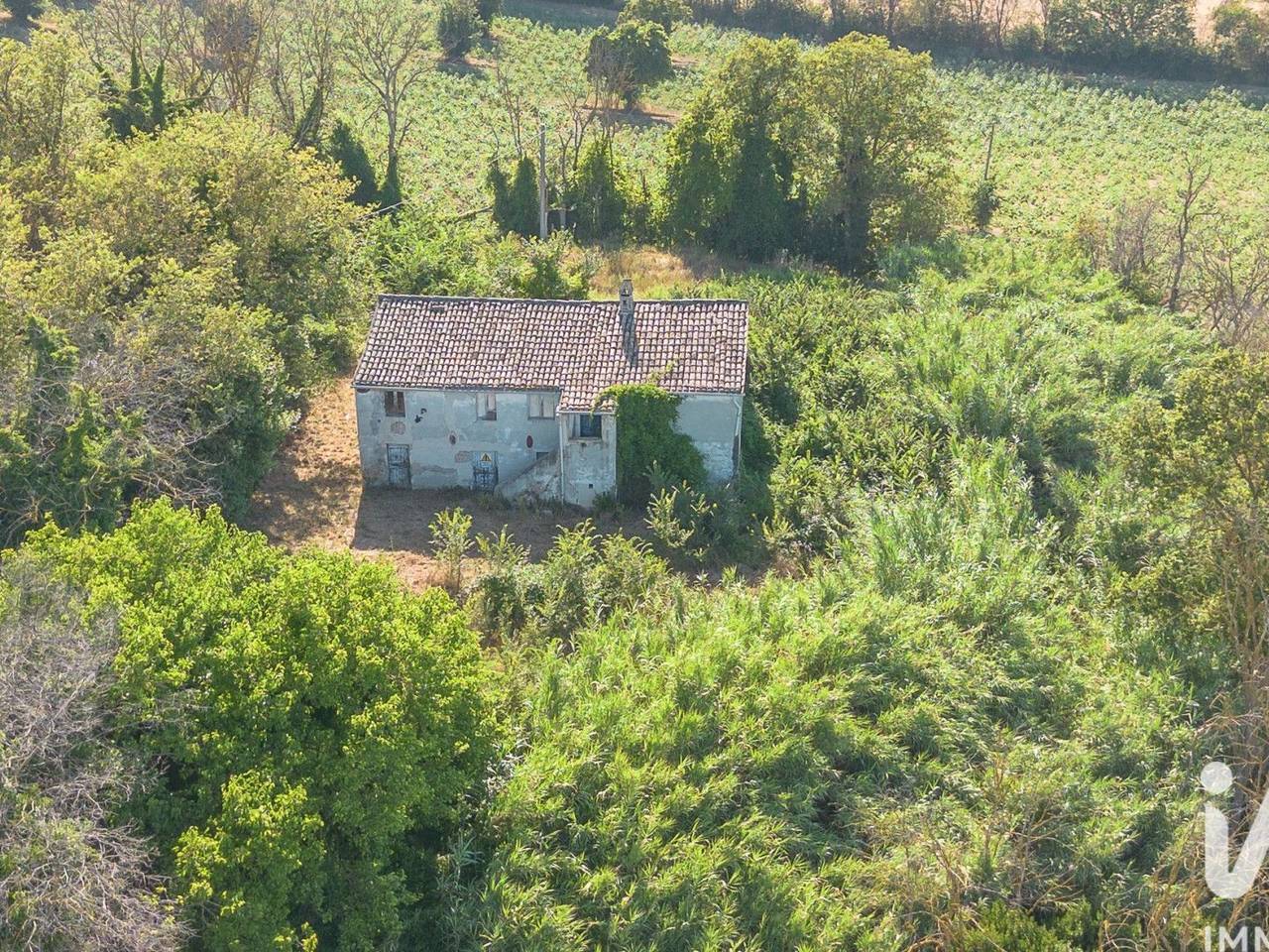 immagine annuncio 12 di 14