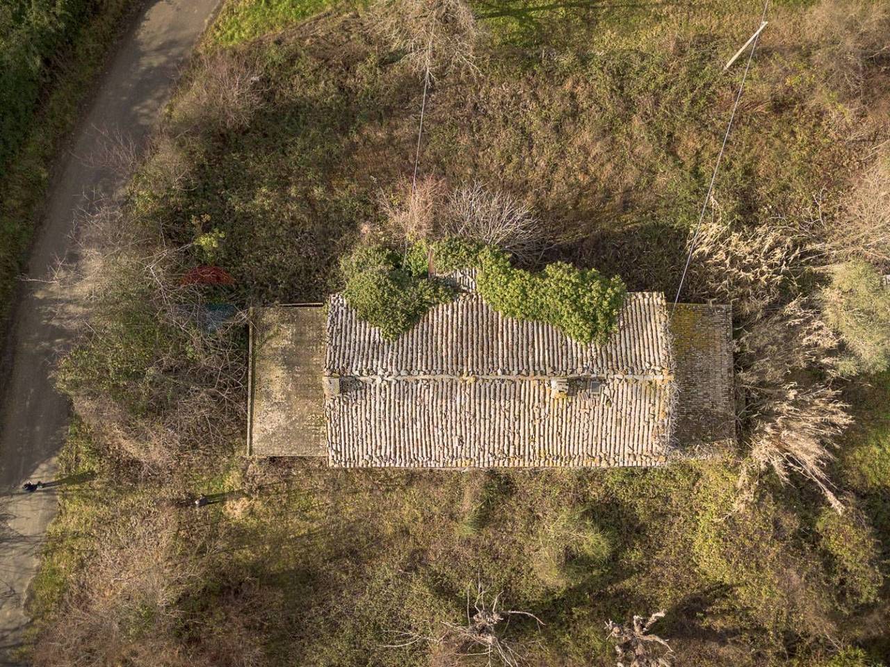 immagine annuncio 9 di 14