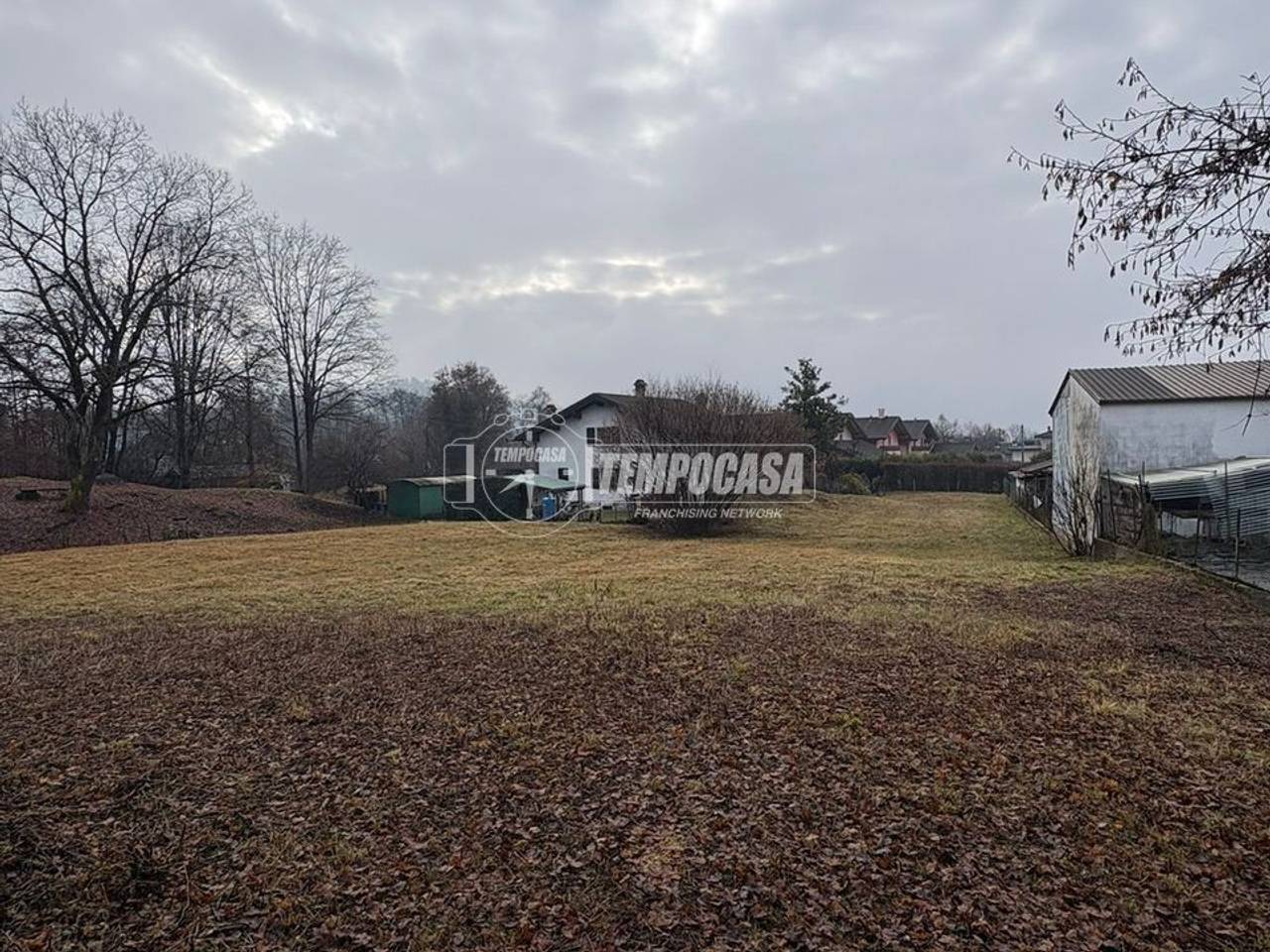 immagine annuncio 2 di 4