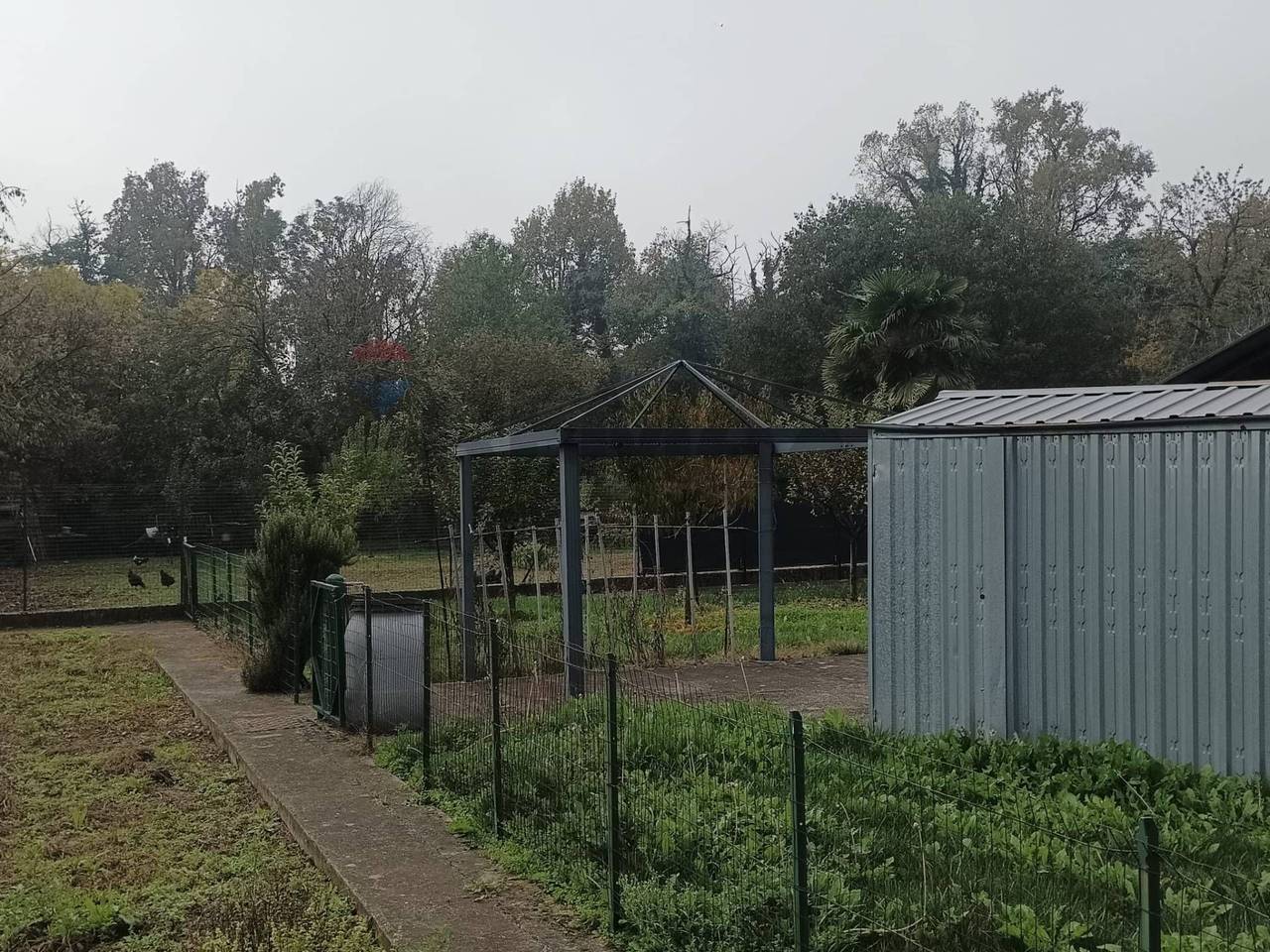 immagine annuncio 14 di 15