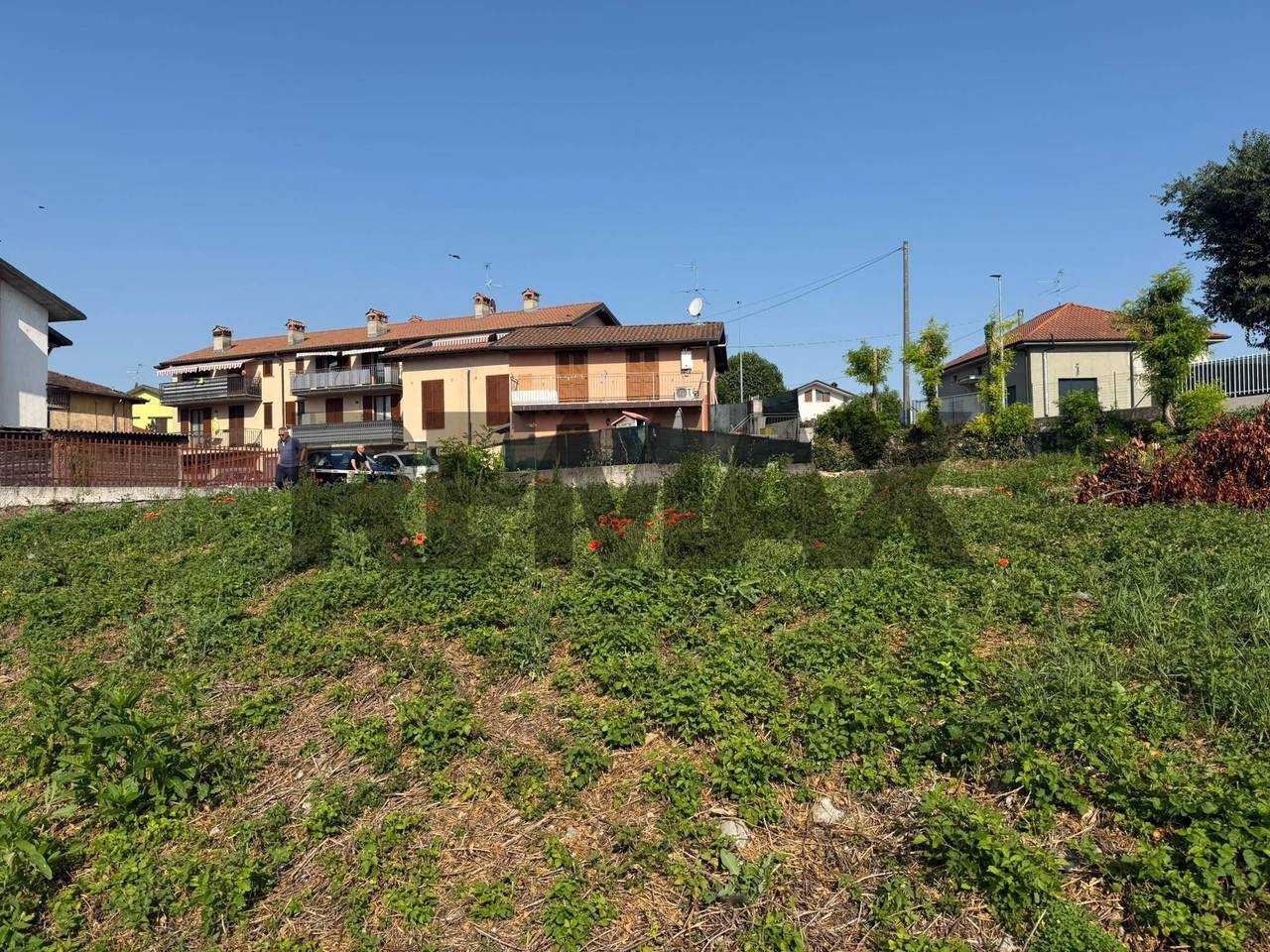 immagine annuncio 2 di 13