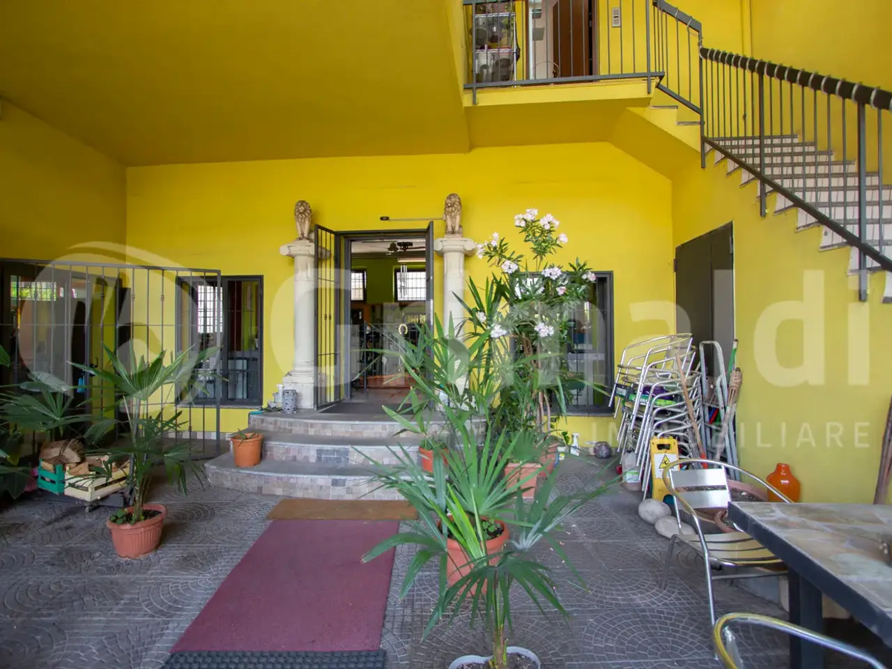Palestra in Viale Marconi 63, Cusano Milanino, {3} - Foto 2