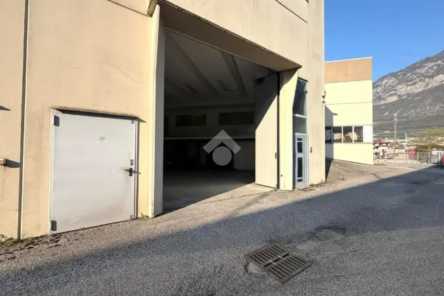 insertion image