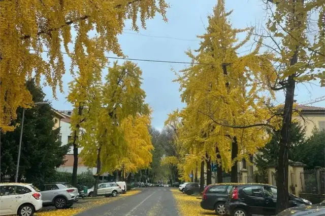 Negozio in Via M. Bonacini S.N.C., Modena - Foto 1