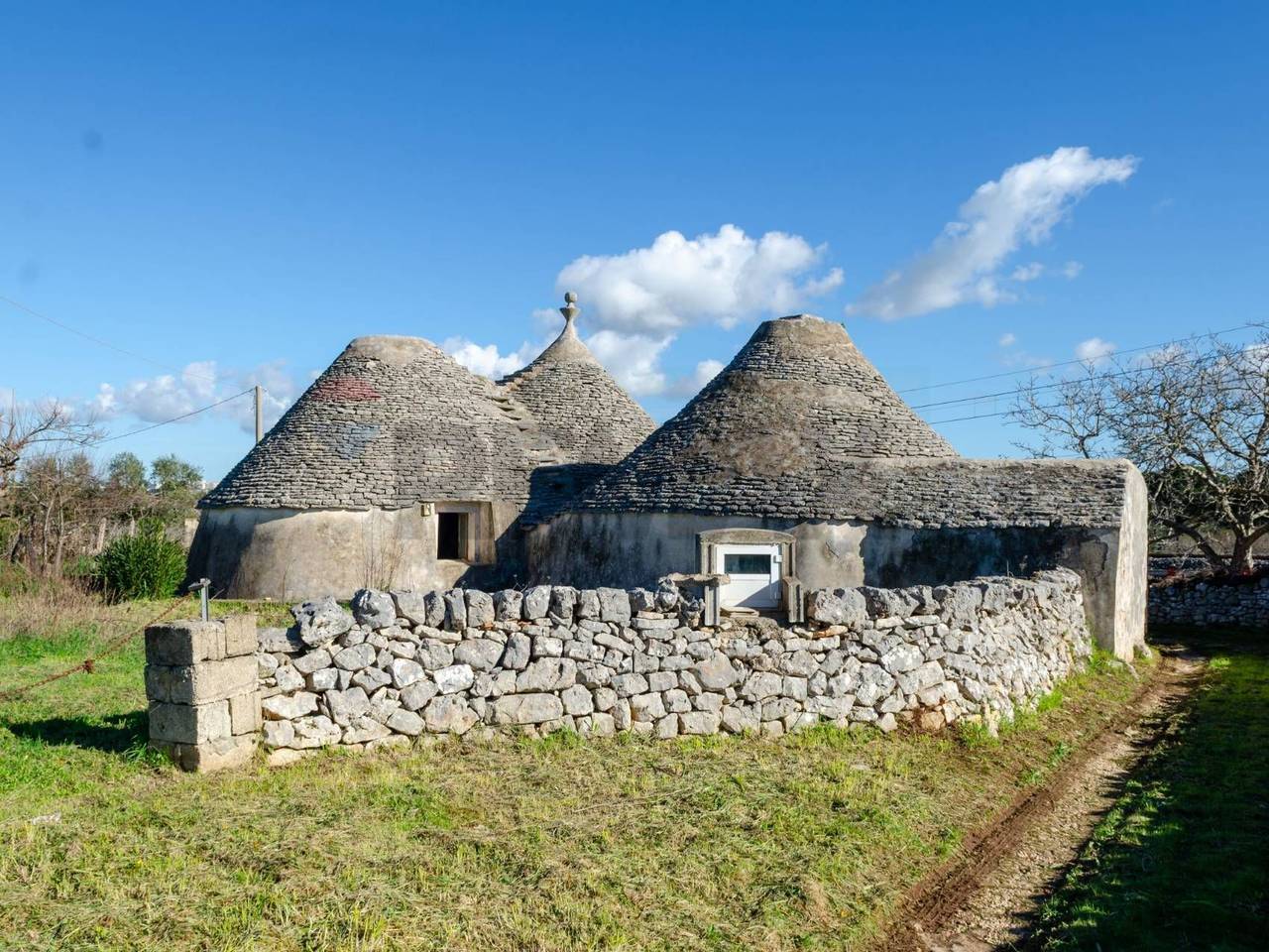 immagine annuncio 9 di 14