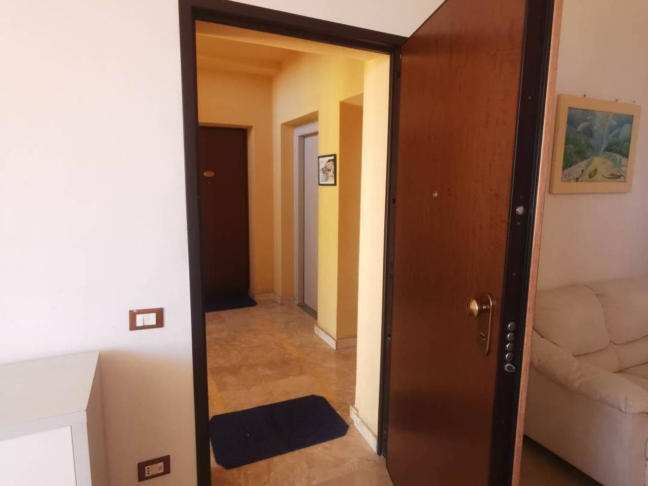 immagine annuncio 3 di 12