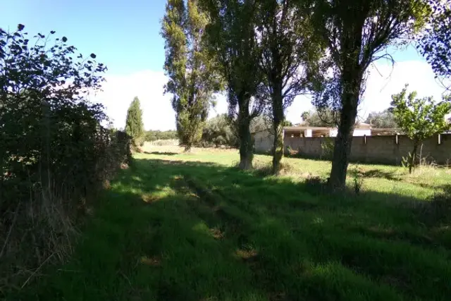 Agricultural land in Stradone del Sandalo, Anzio - Photo 1