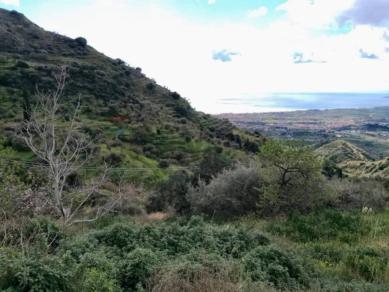 immagine annuncio 5 di 8