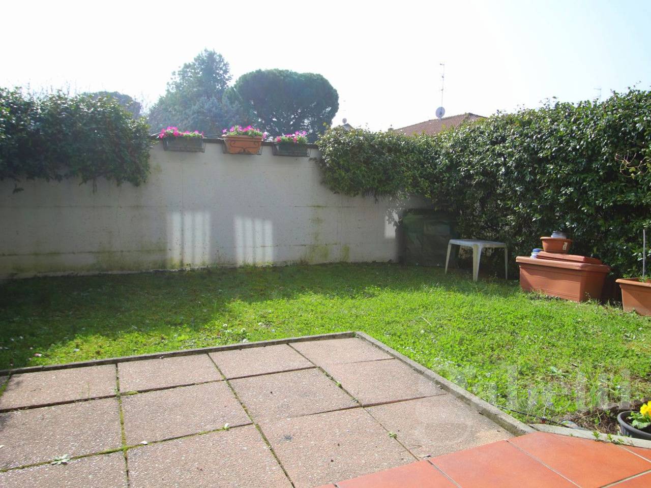 immagine annuncio 4 di 14