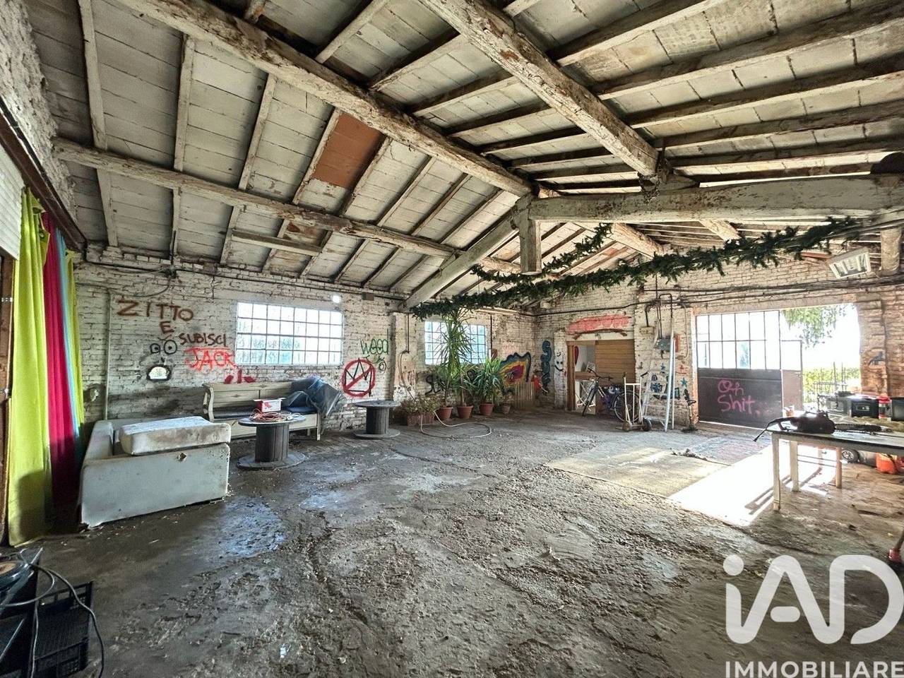 immagine annuncio 12 di 15