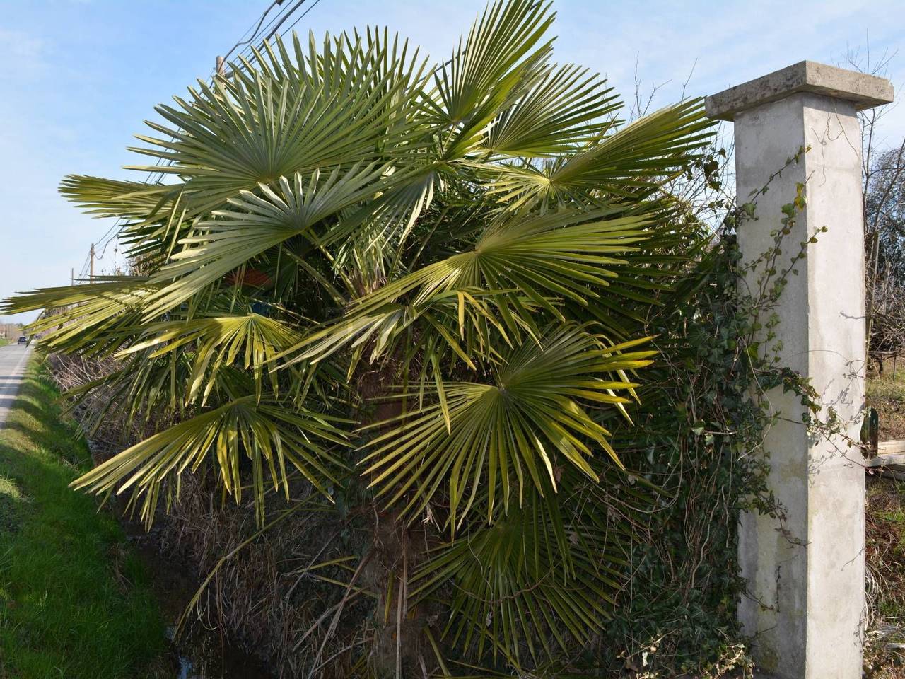 immagine annuncio 11 di 14