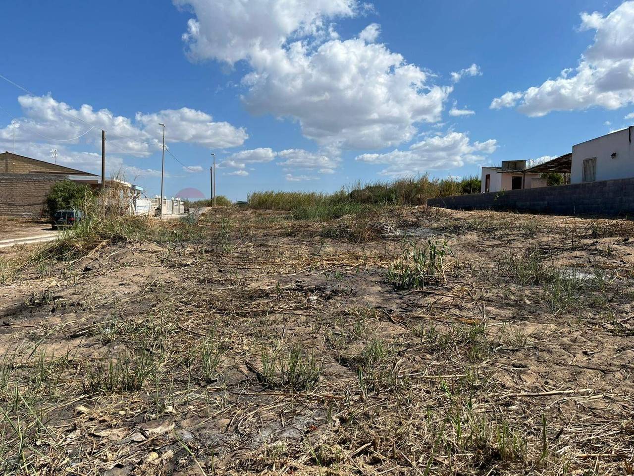 immagine annuncio 8 di 14