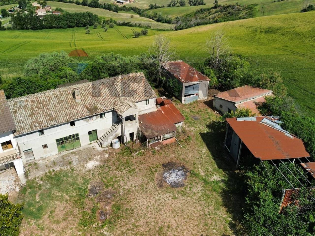 immagine annuncio 4 di 9