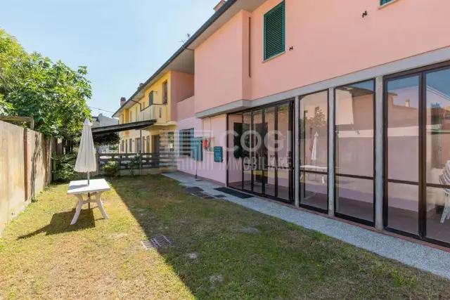 insertion image
