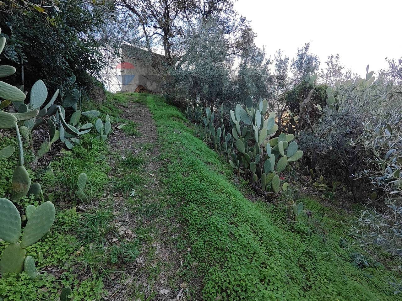 immagine annuncio 3 di 8