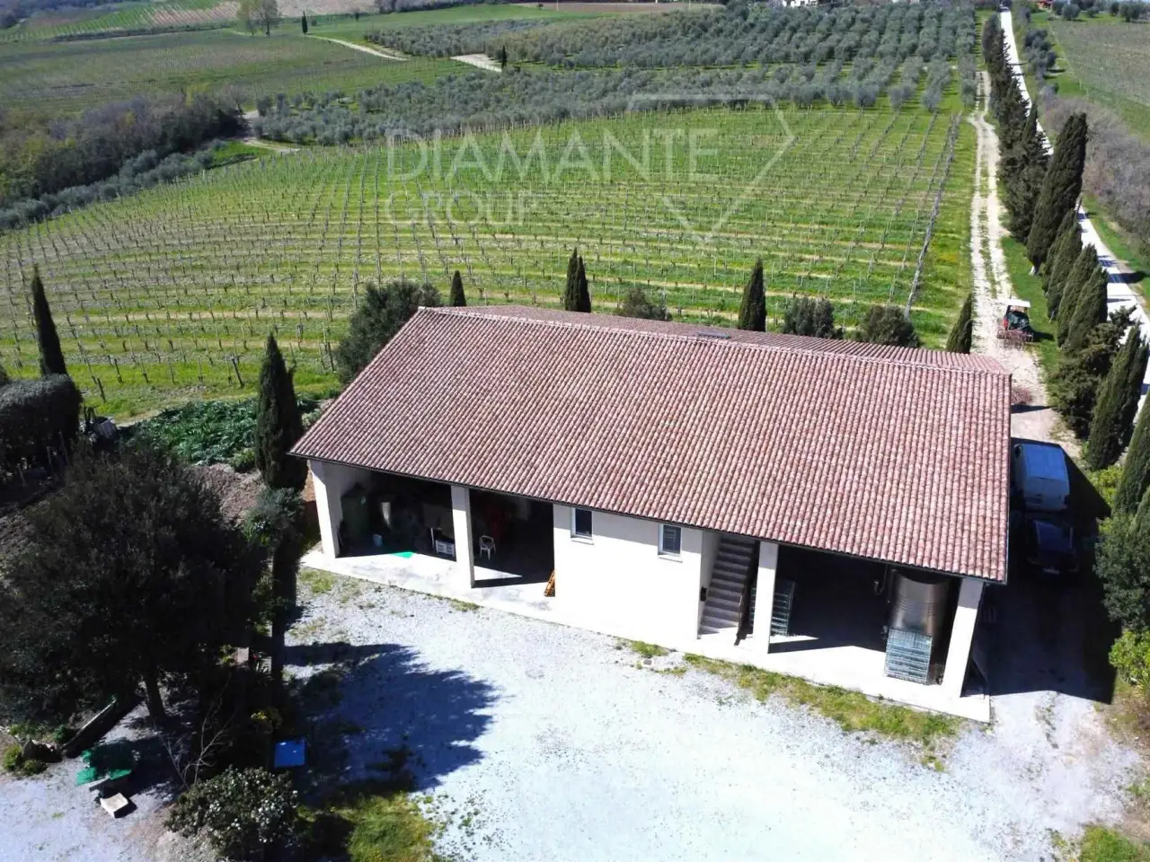Azienda agricola in , Castel Del Piano, {3} - Foto 1
