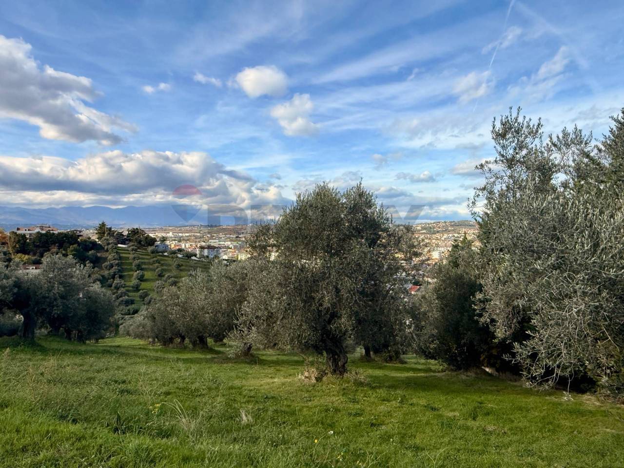 immagine annuncio 6 di 9
