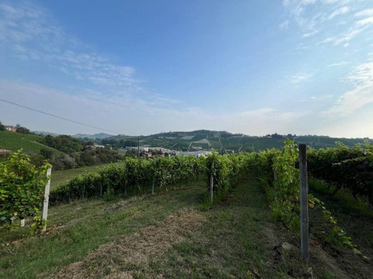 immagine annuncio 2 di 12