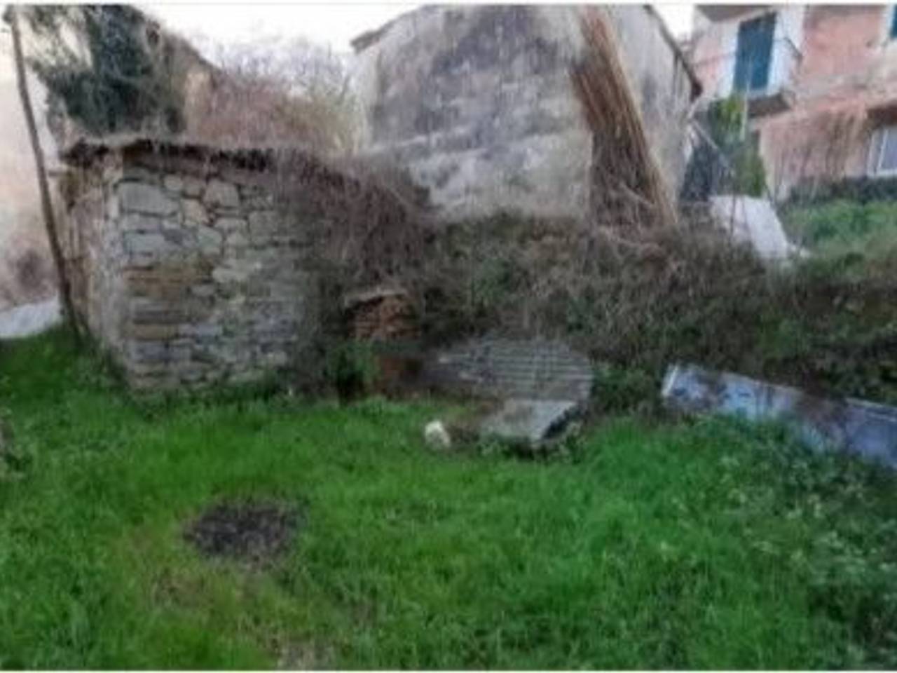 immagine annuncio 5 di 7