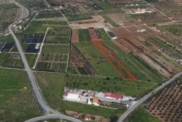 insertion image
