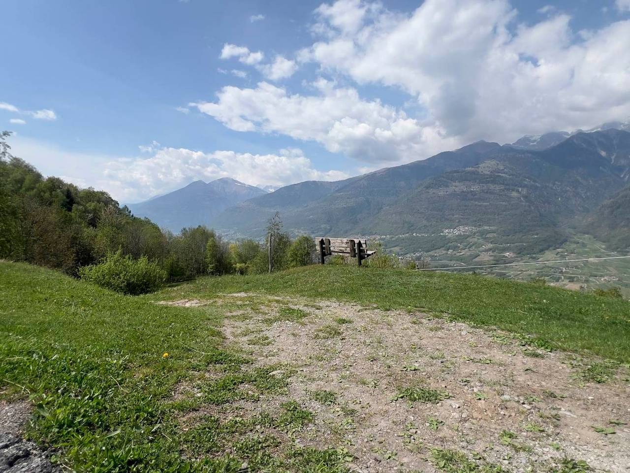 immagine annuncio 13 di 15