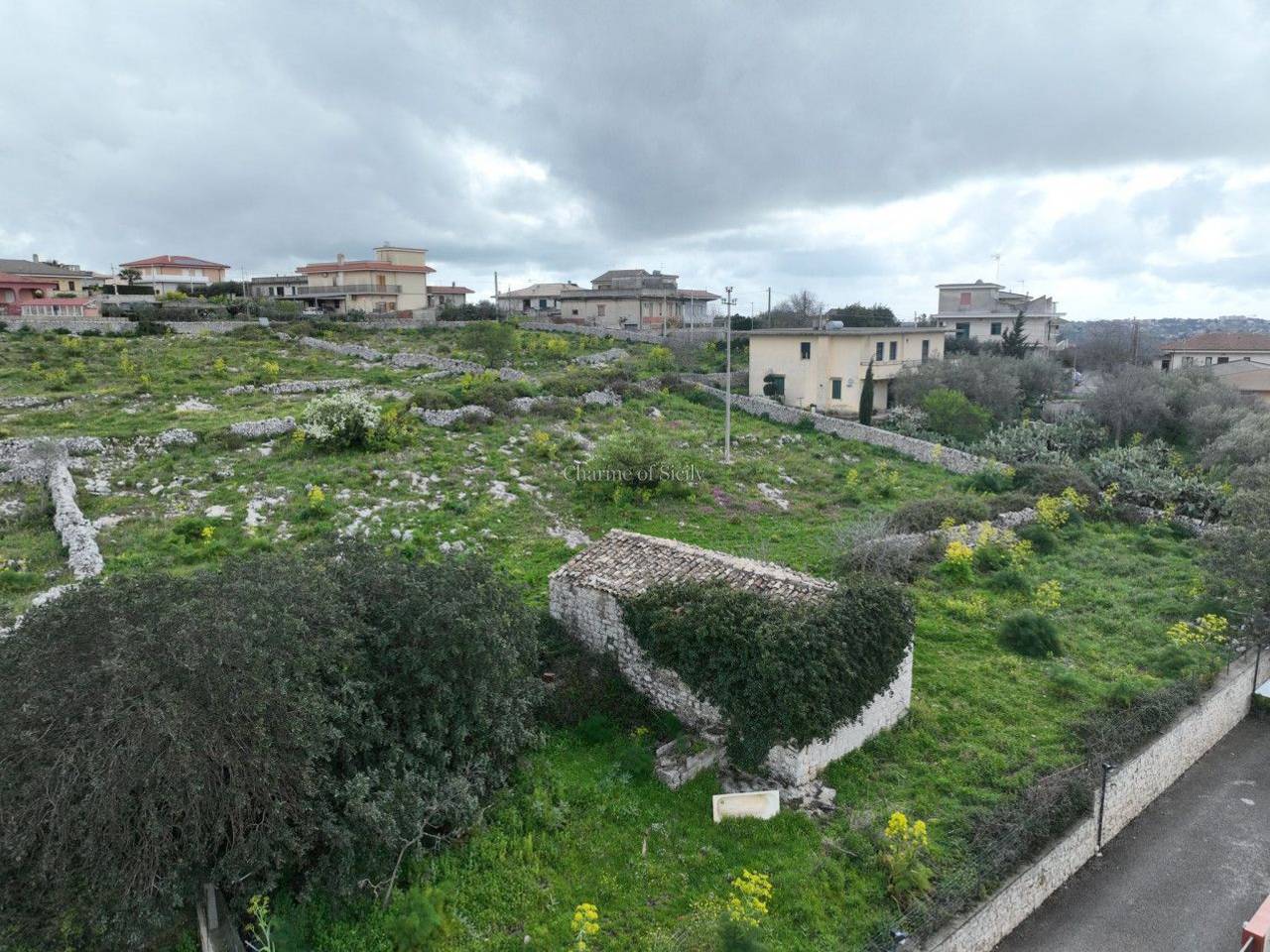 immagine annuncio 3 di 11