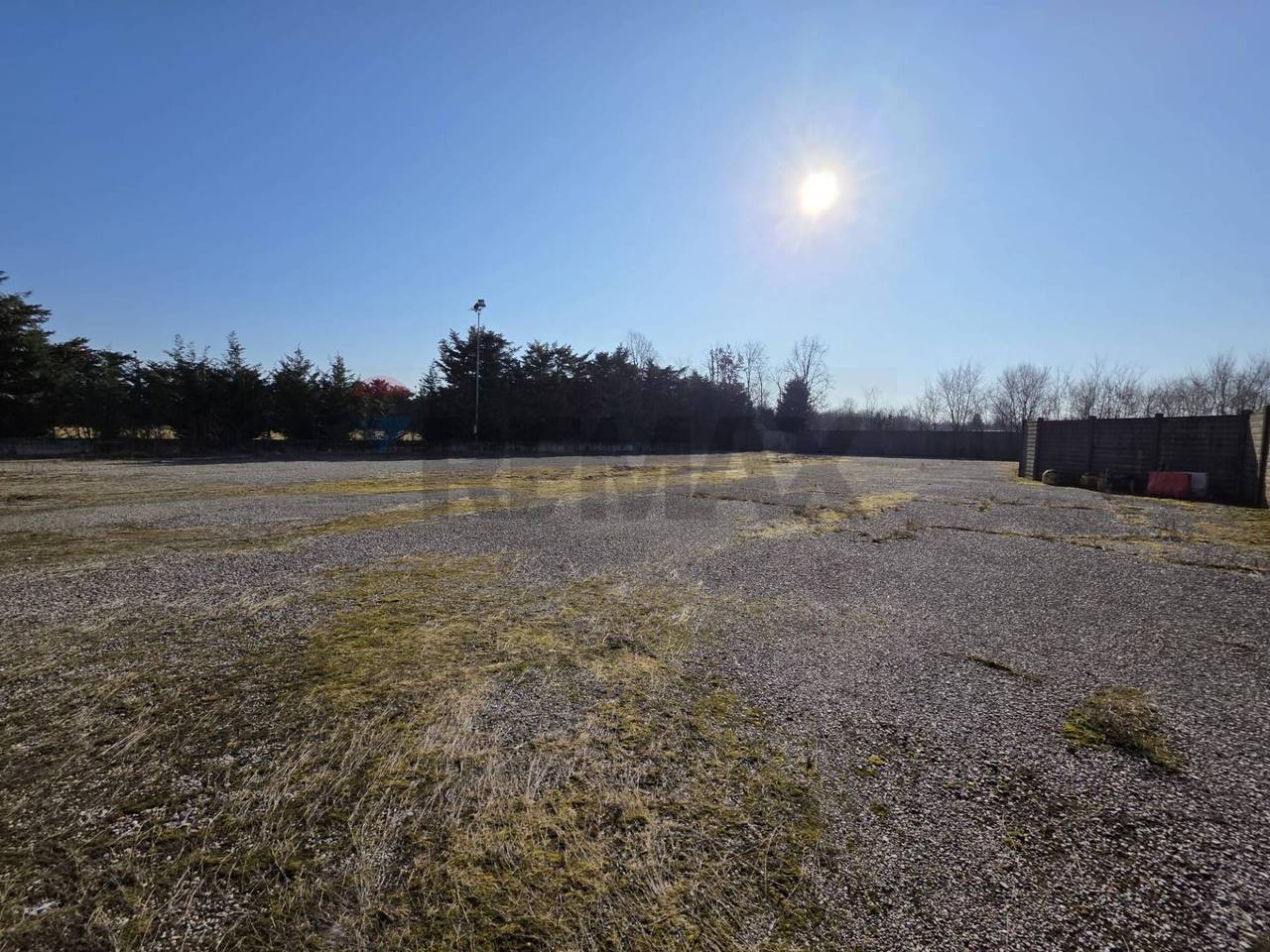 immagine annuncio 4 di 8