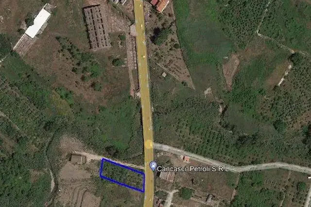 insertion image
