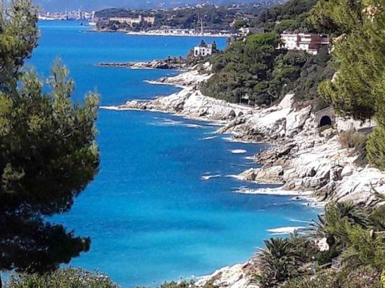 immagine annuncio 9 di 11