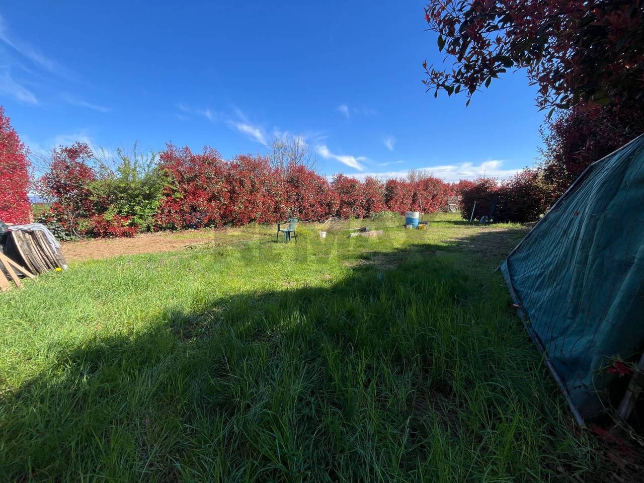 immagine annuncio 3 di 8