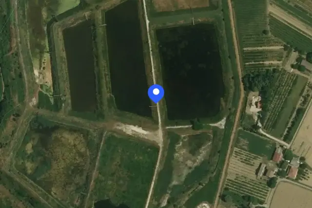 insertion image