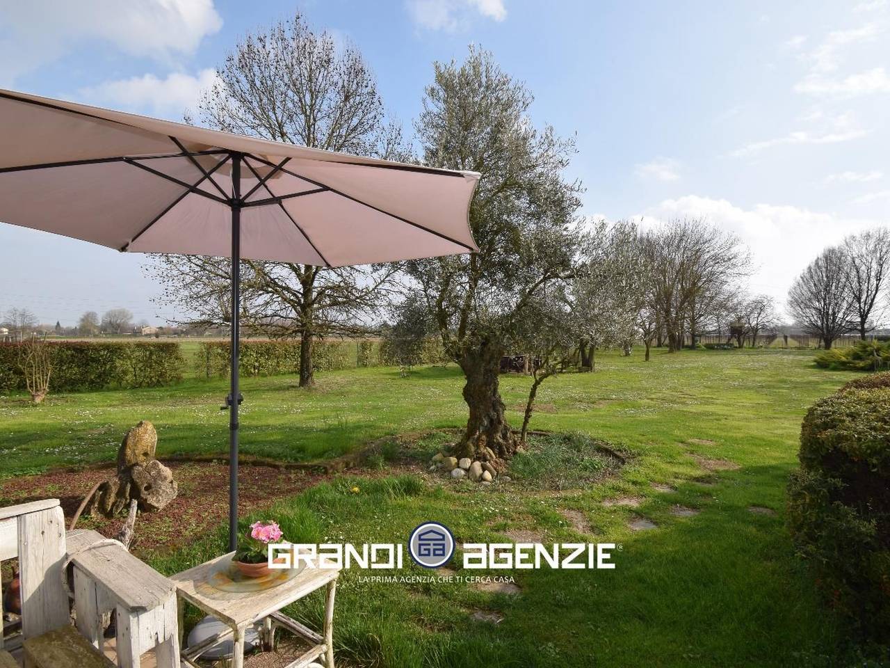 immagine annuncio 9 di 11