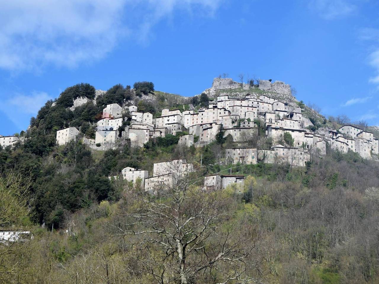 immagine annuncio 1 di 13