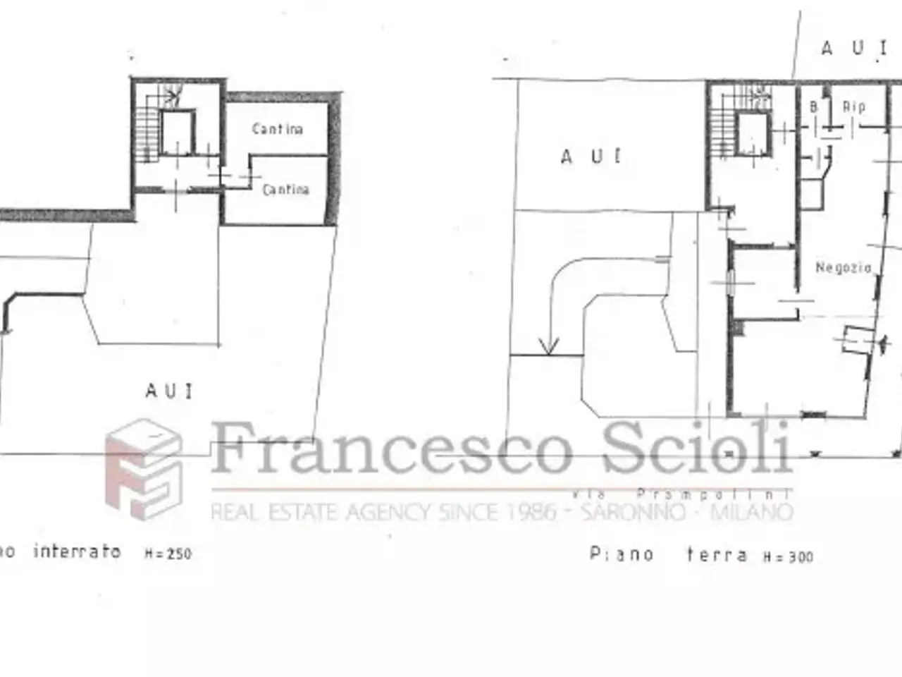 Negozio in Via Larga 24,, Saronno, {3} - Planimetria 1