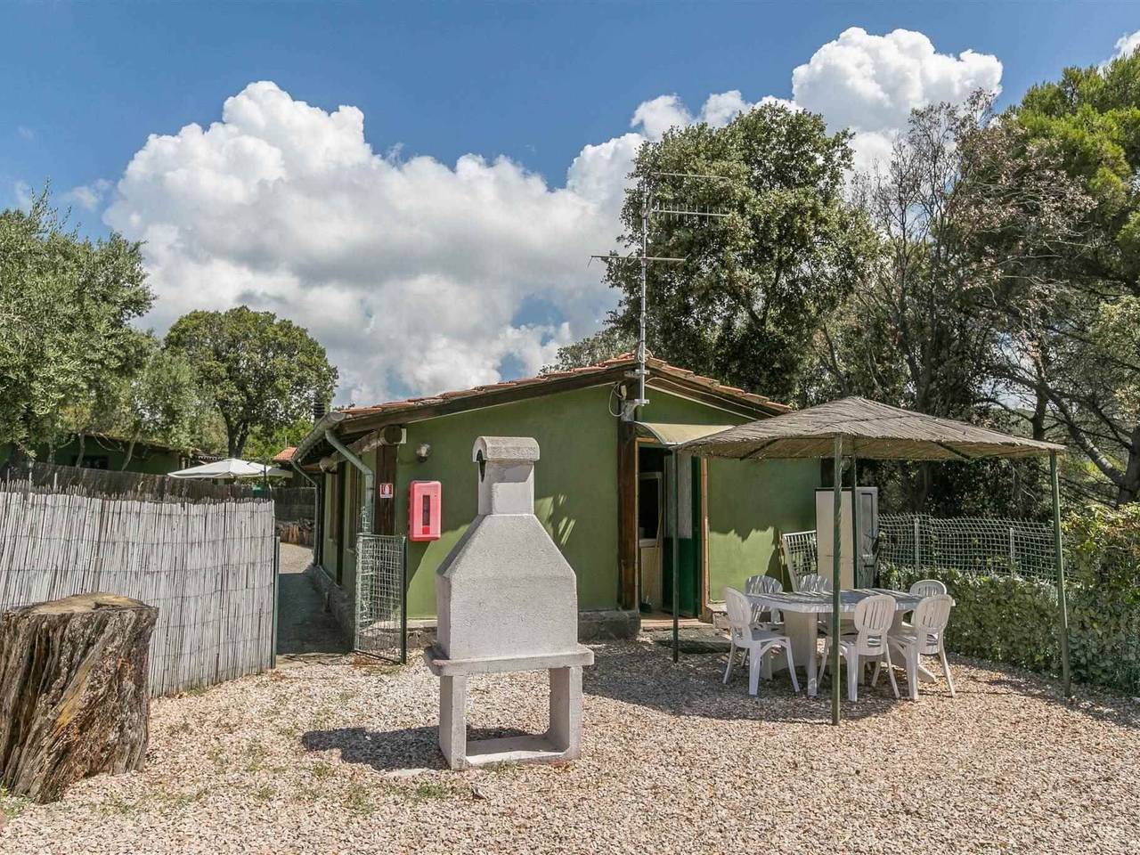 immagine annuncio 13 di 15
