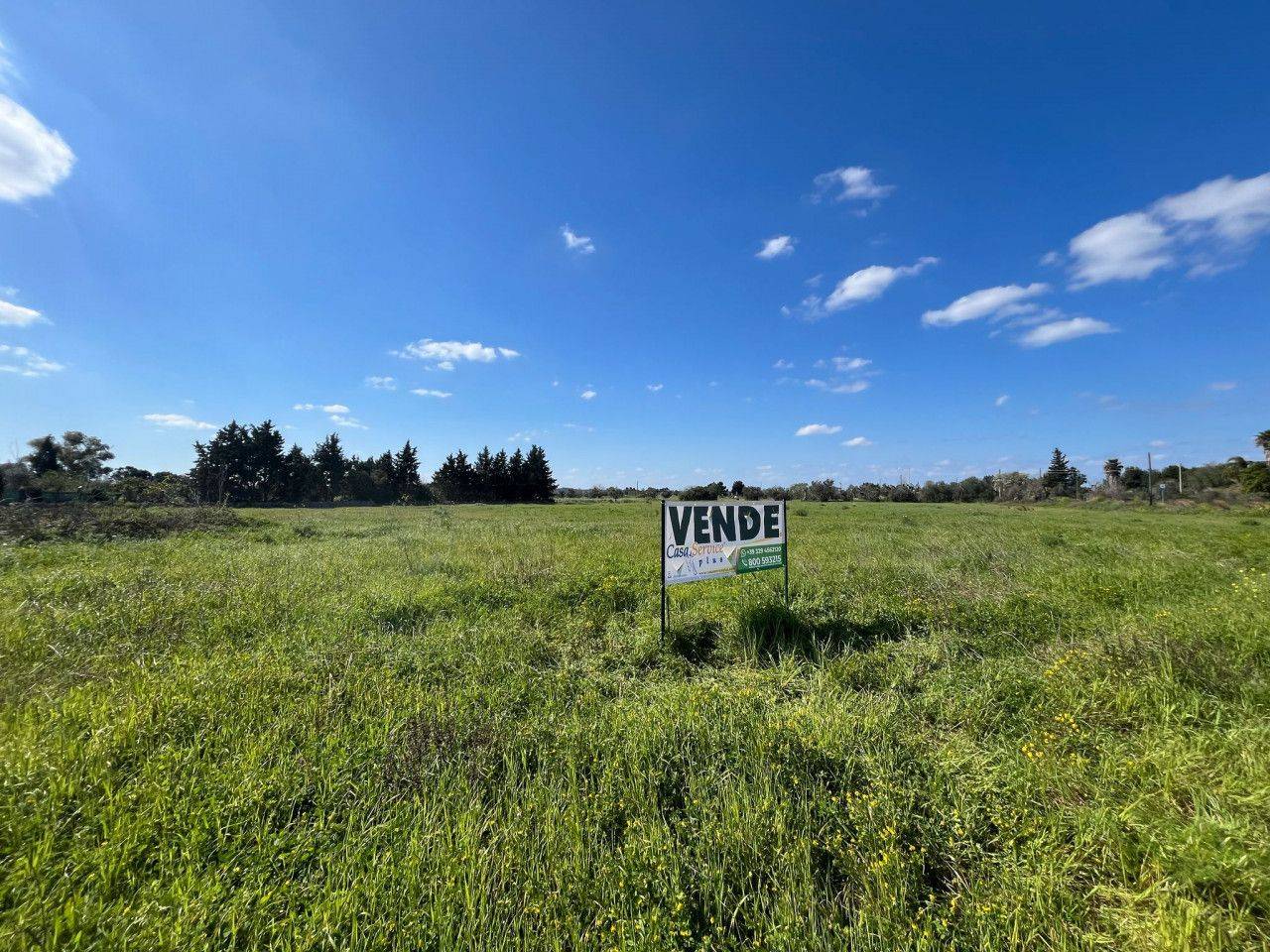 immagine annuncio 8 di 11