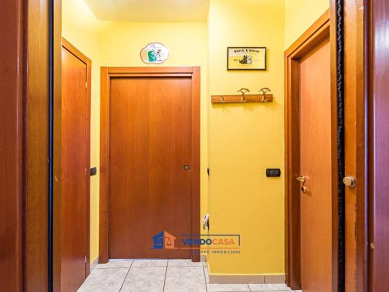 immagine annuncio 10 di 14