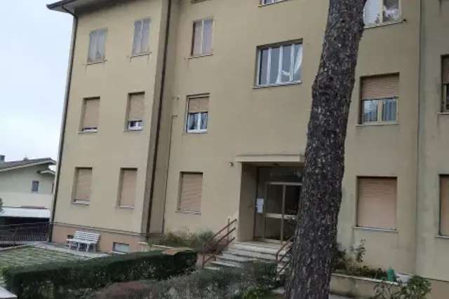 insertion image