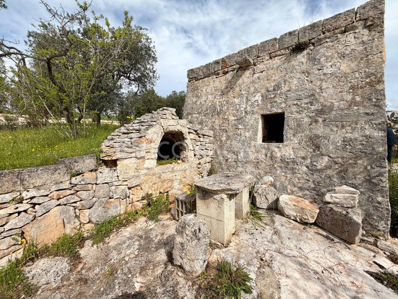 immagine annuncio 8 di 11