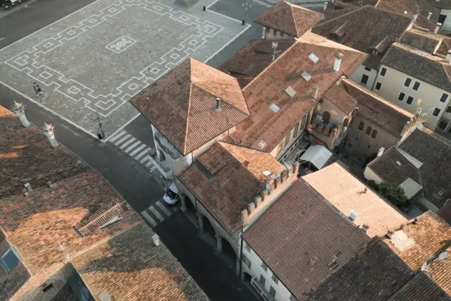insertion image