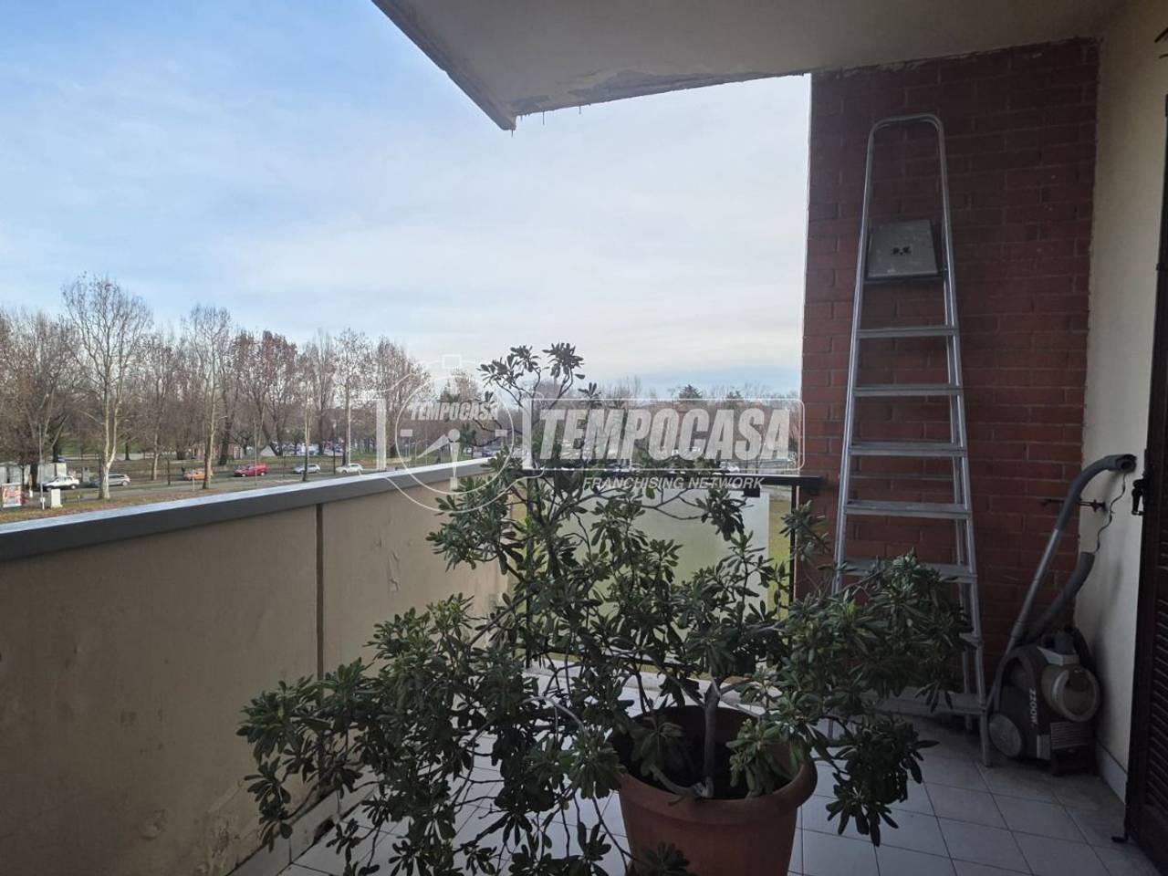 immagine annuncio 12 di 14