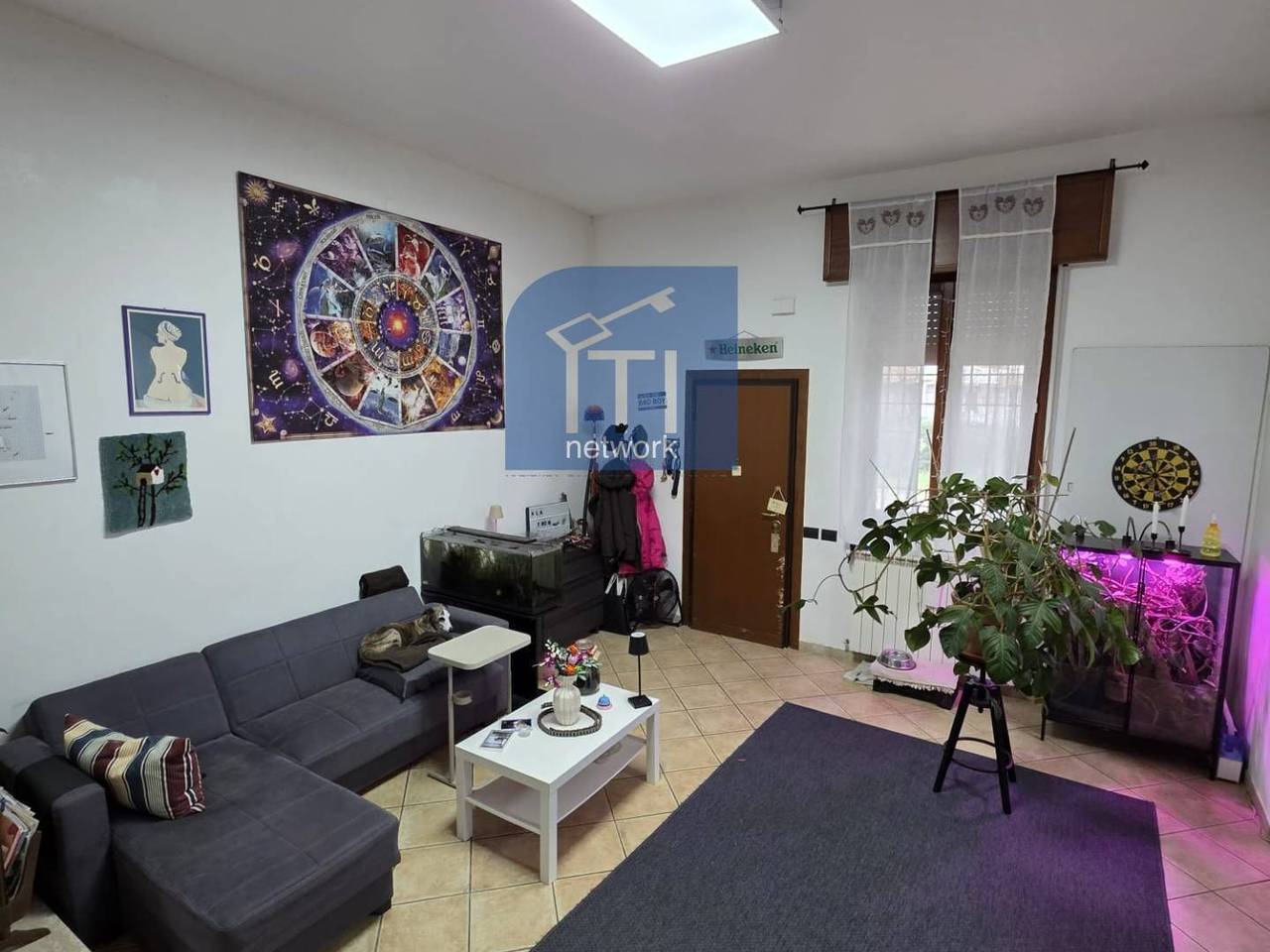 immagine annuncio 3 di 12