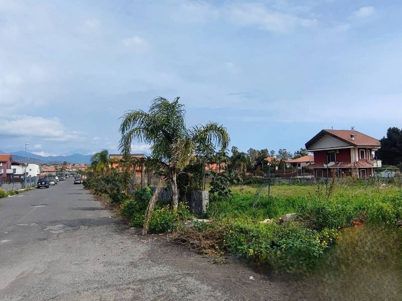 immagine annuncio 4 di 7