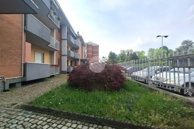 insertion image