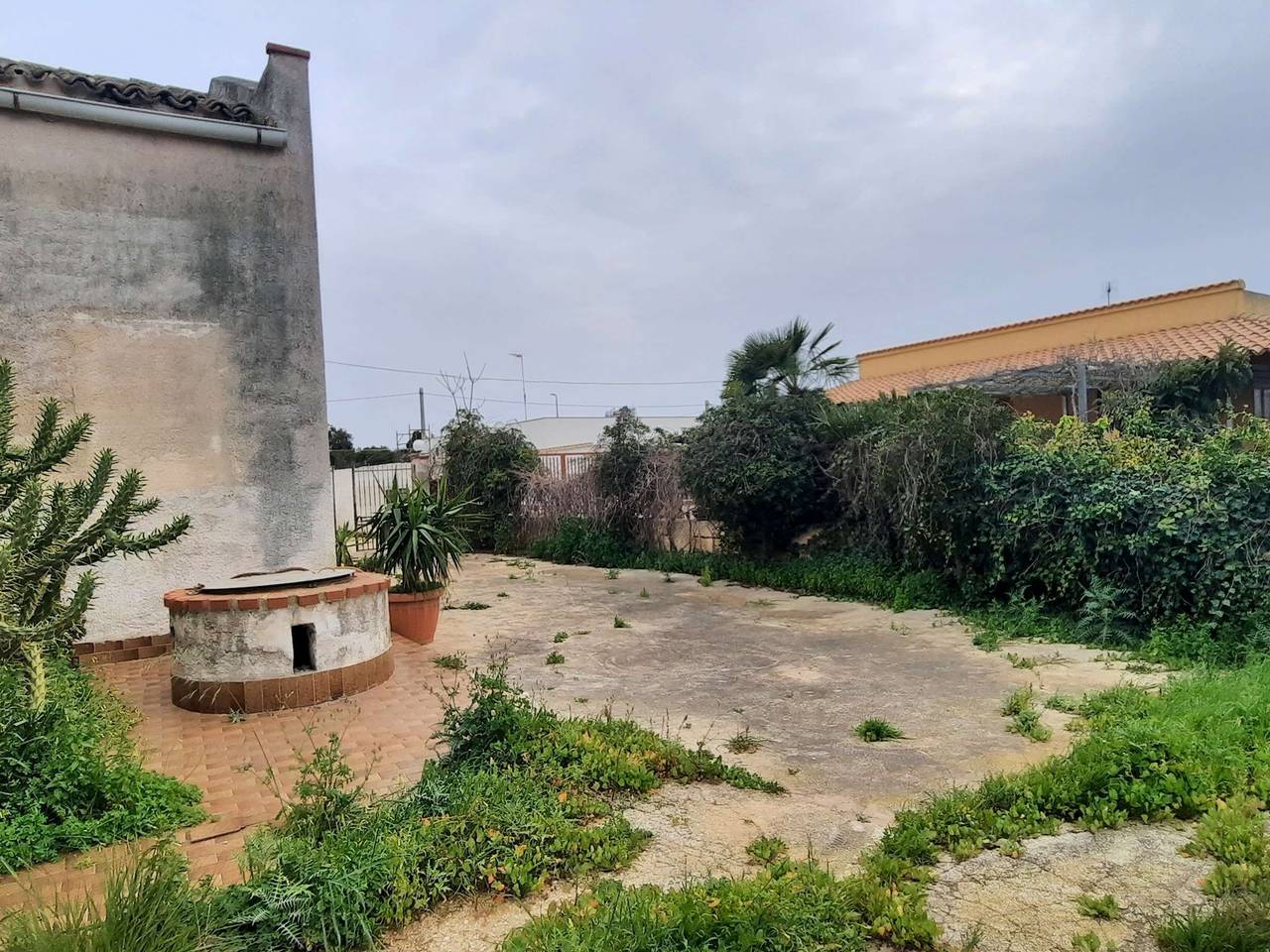 immagine annuncio 1 di 12